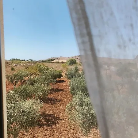 Terra Di Suli * Custonaci