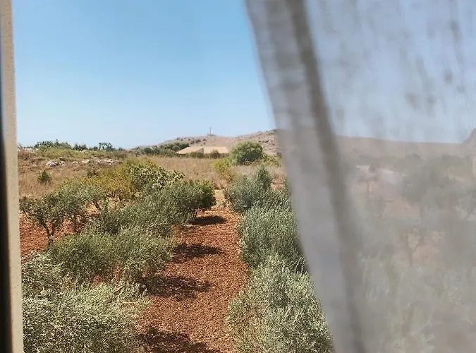 Terra Di Suli * Custonaci